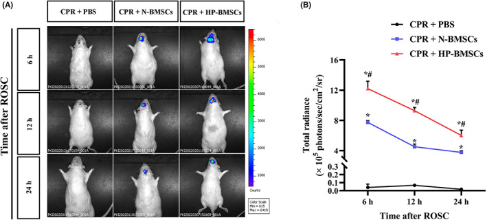 FIGURE 3