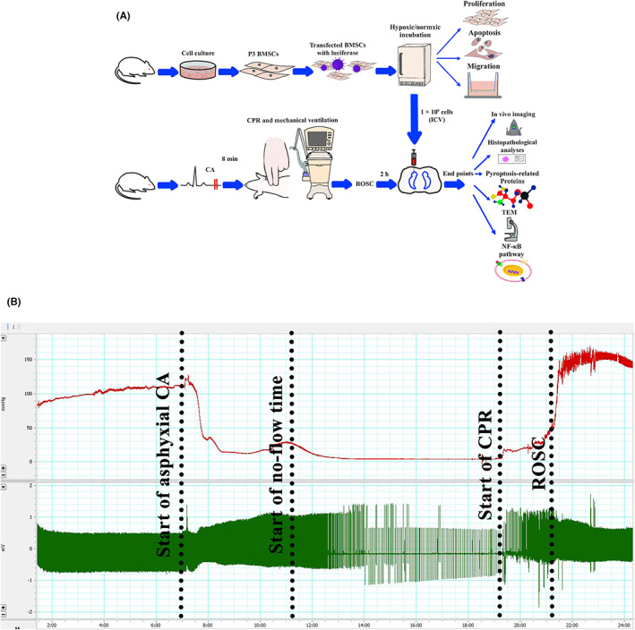 FIGURE 1