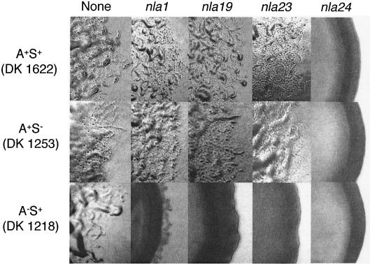 FIG. 4.