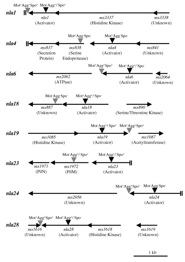 FIG.2.