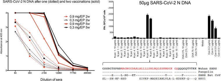 FIG 1