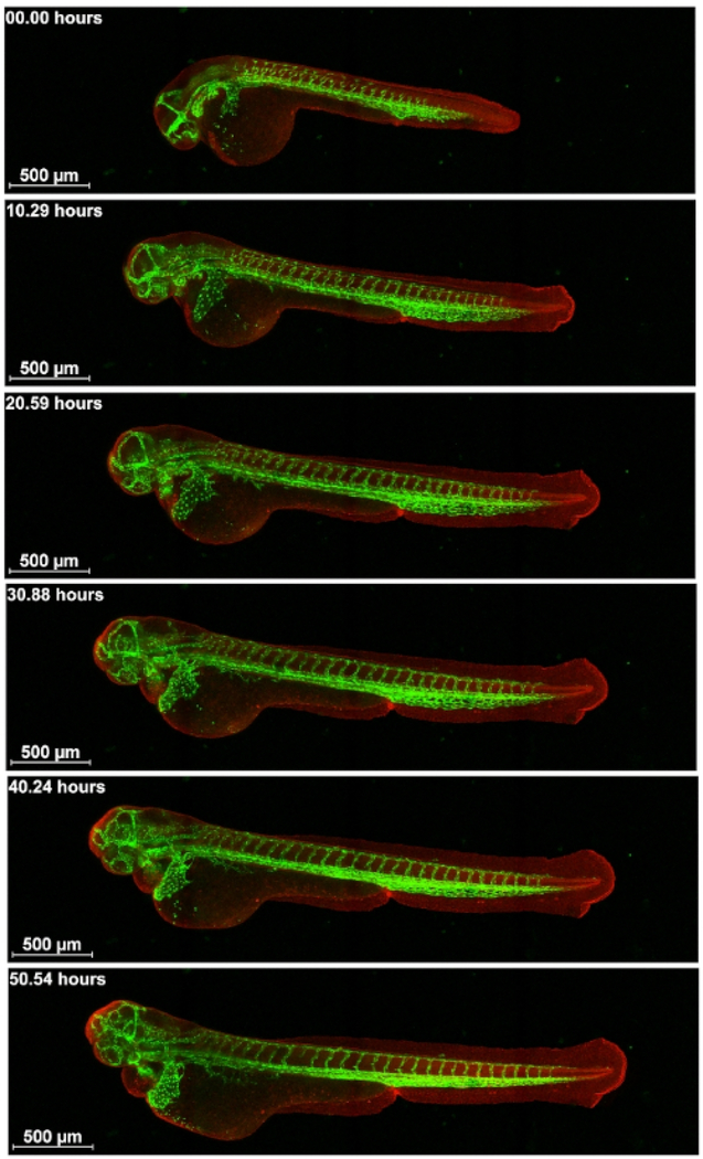 Figure 3: