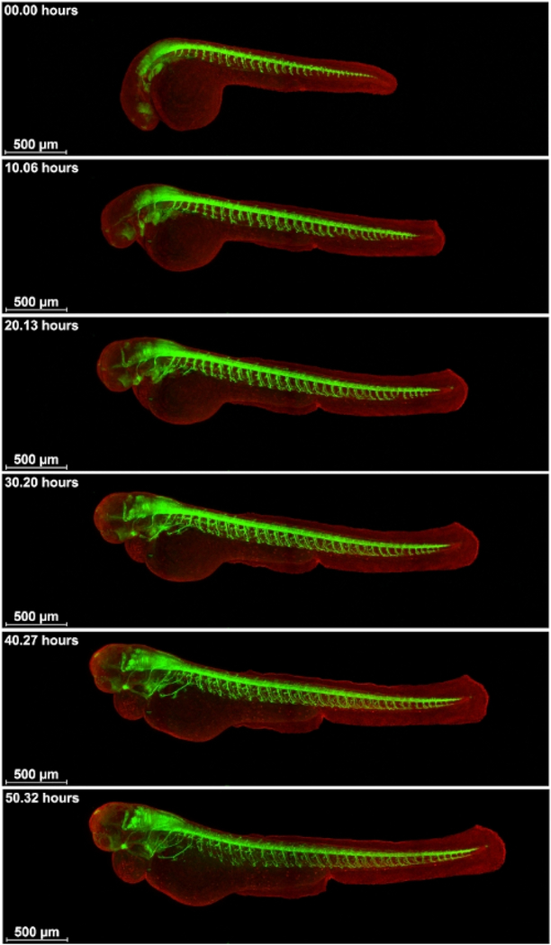 Figure 4: