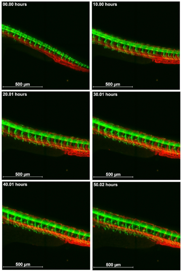 Figure 5: