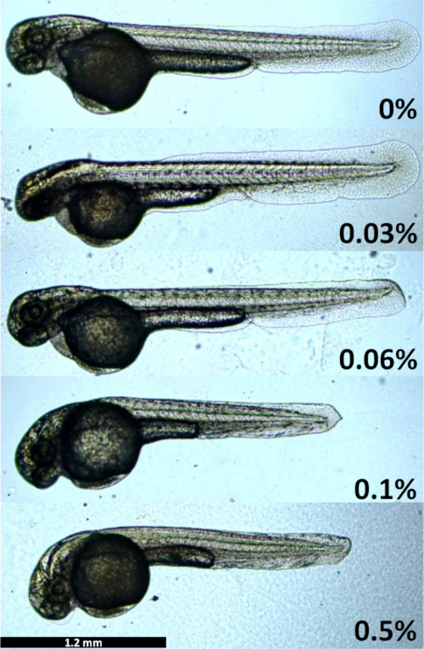 Figure 2: