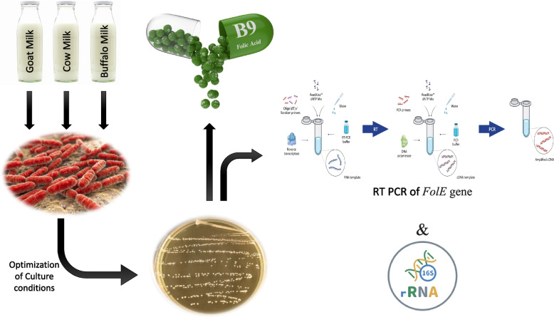 graphic file with name 43141_2023_603_Figa_HTML.jpg