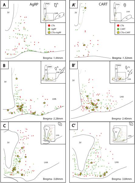 Figure 12