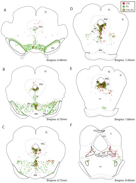 Figure 15