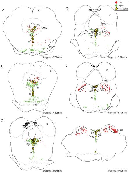 Figure 14