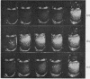 309