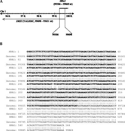 FIGURE 1.