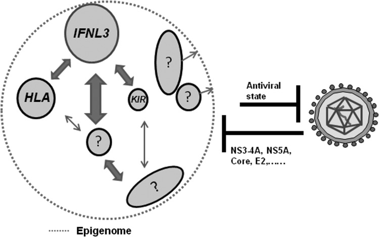 FIG. 5.