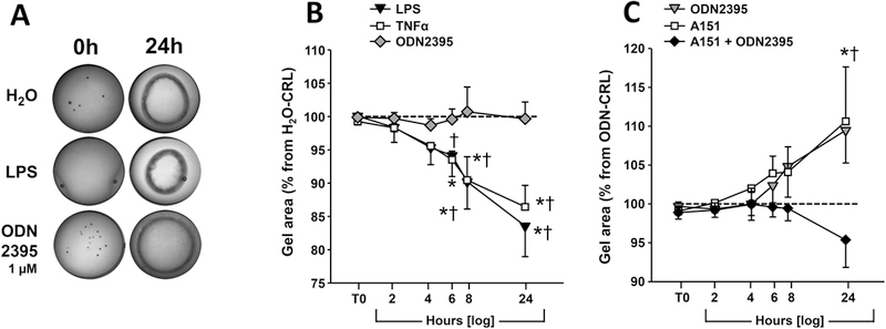 FIGURE 4.