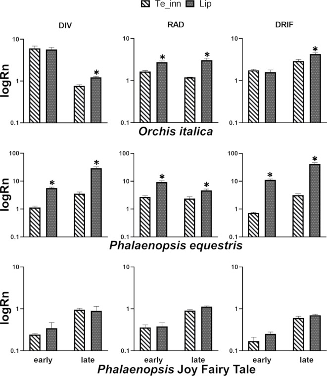 Figure 6