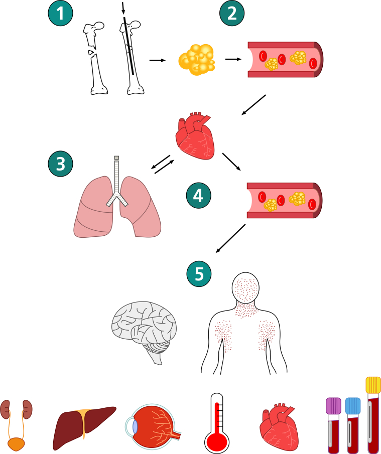 Fig 1