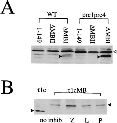 FIG. 5