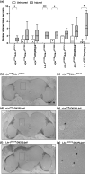 Fig. 9.