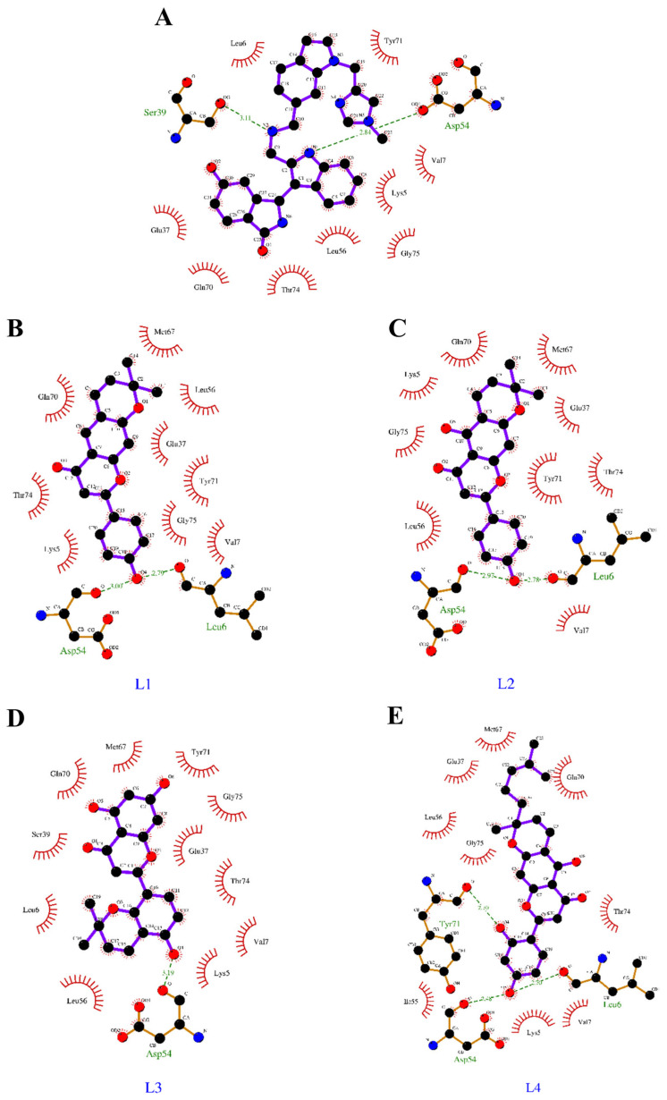 Figure 5