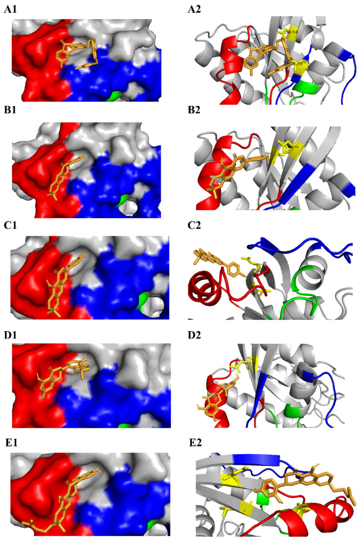 Figure 4