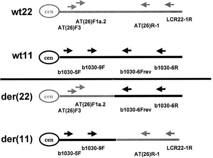 Figure  3