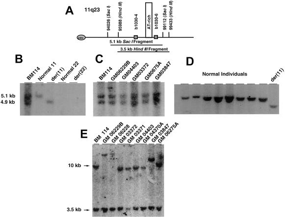 Figure  2