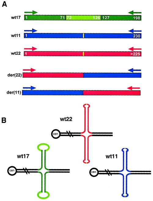 Figure  5