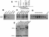 Figure  2