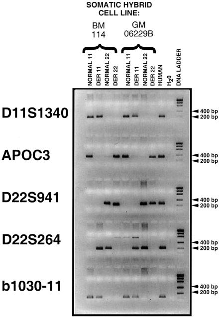 Figure  1