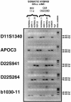 Figure  1
