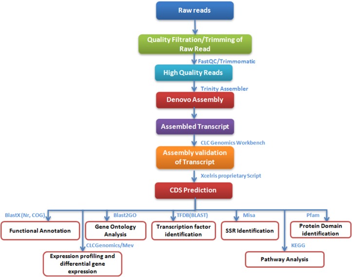 Fig 1