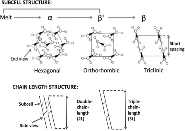 Fig. 6