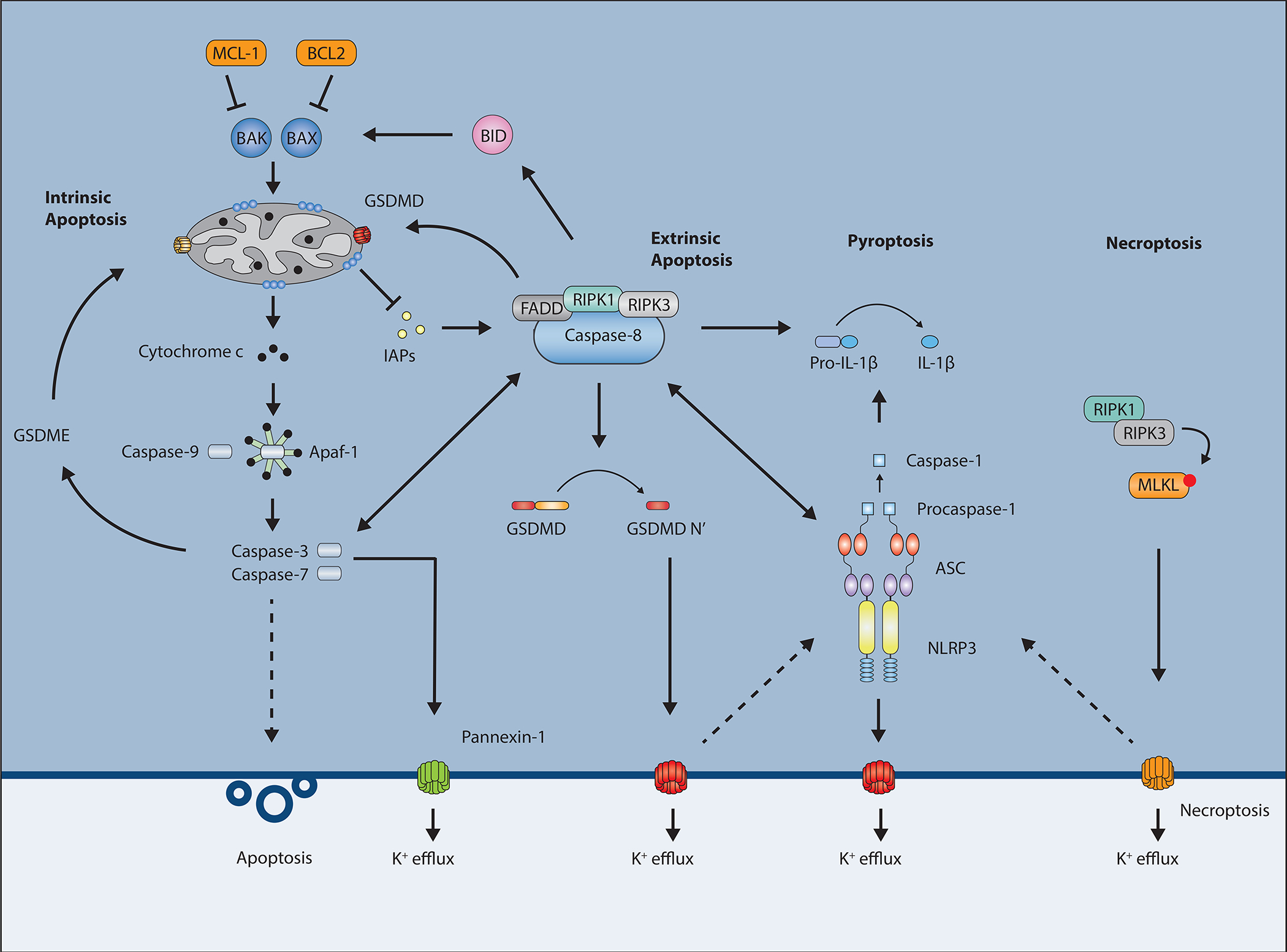 Figure 5.