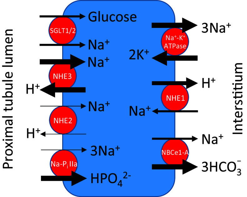 Fig. 2