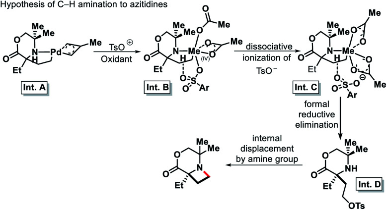 Scheme 31