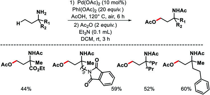 Scheme 30