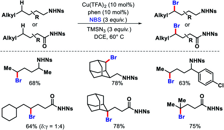 Scheme 68