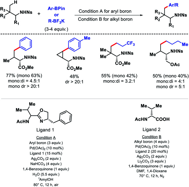 Scheme 9