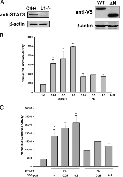 FIGURE 1.