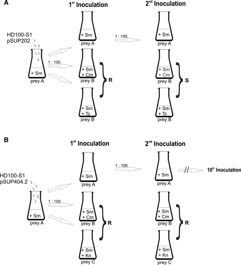 Fig. 2