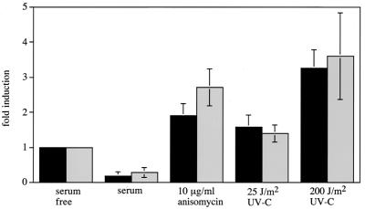 FIG. 12.