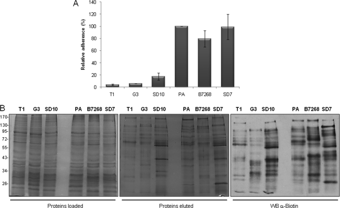 Fig. 4.