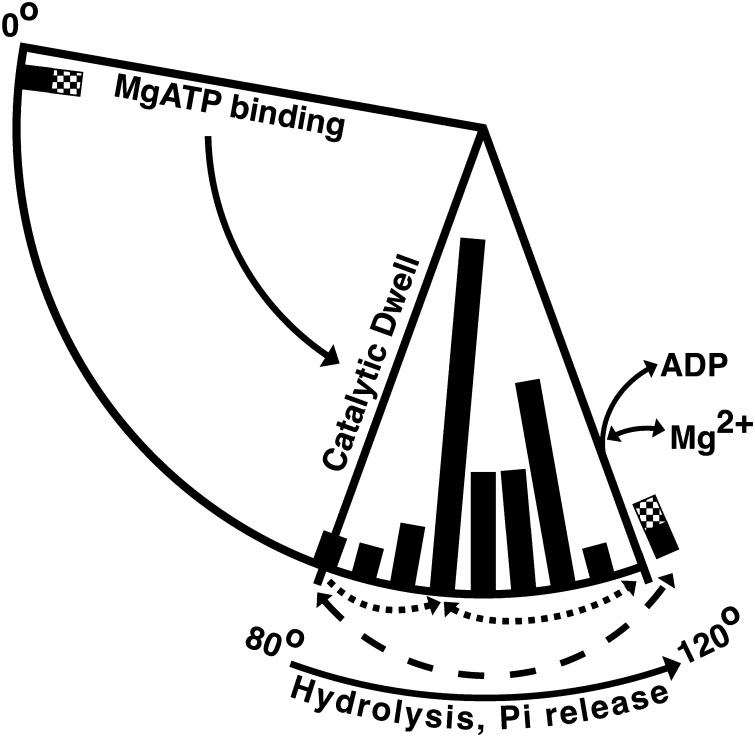 FIGURE 9.