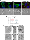 FIG 2