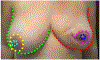Fig. 3.