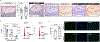 Extended Data Figure 8.