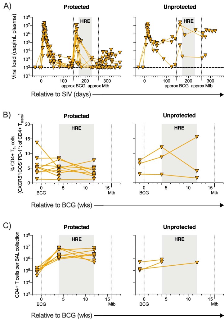 Extended Data Fig. 6