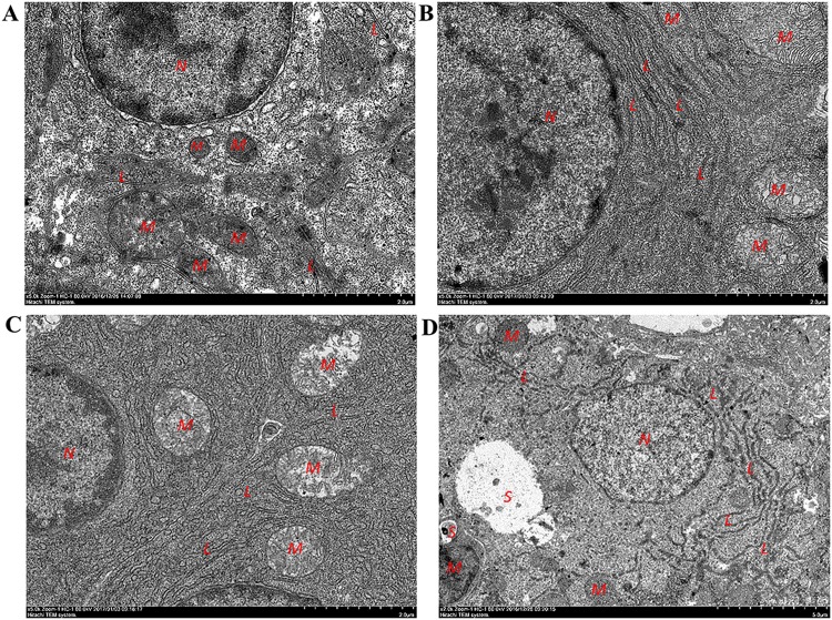 FIG 3