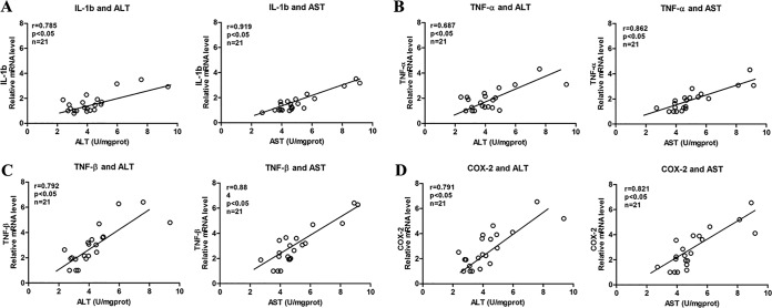 FIG 6