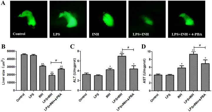 FIG 8