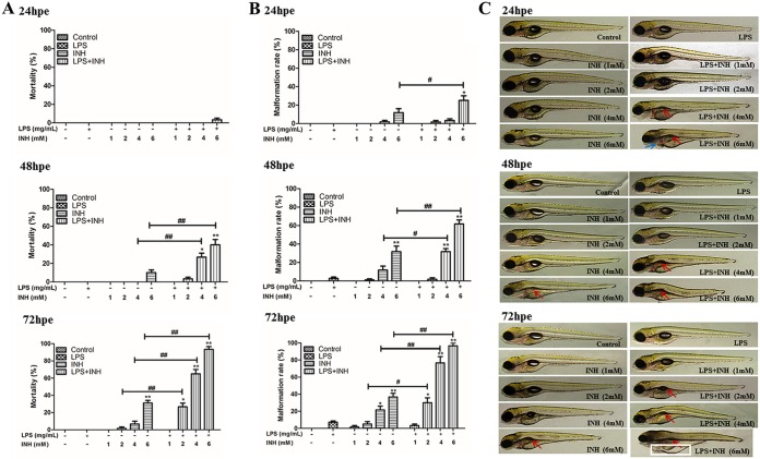 FIG 1